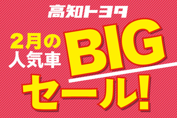 BIGセール