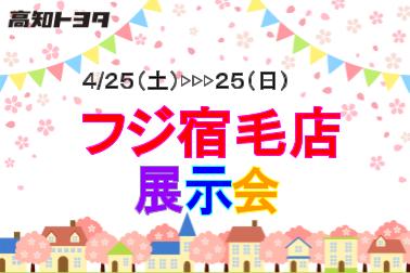 フジ宿毛店展示会